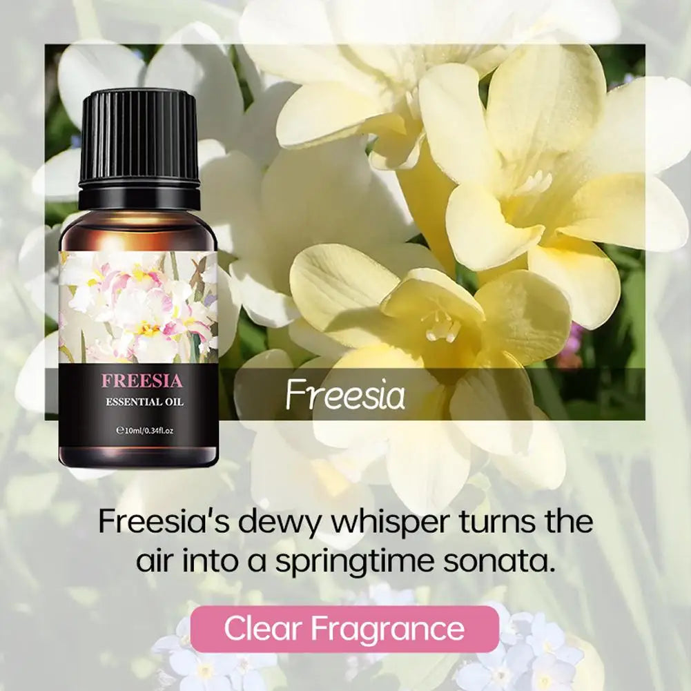 15 Scents Water Soluble Fragrance Oils - 10ml Aromatherapy Oil for Diffuser, Room Deodorizer, Air Freshener, Home & Car