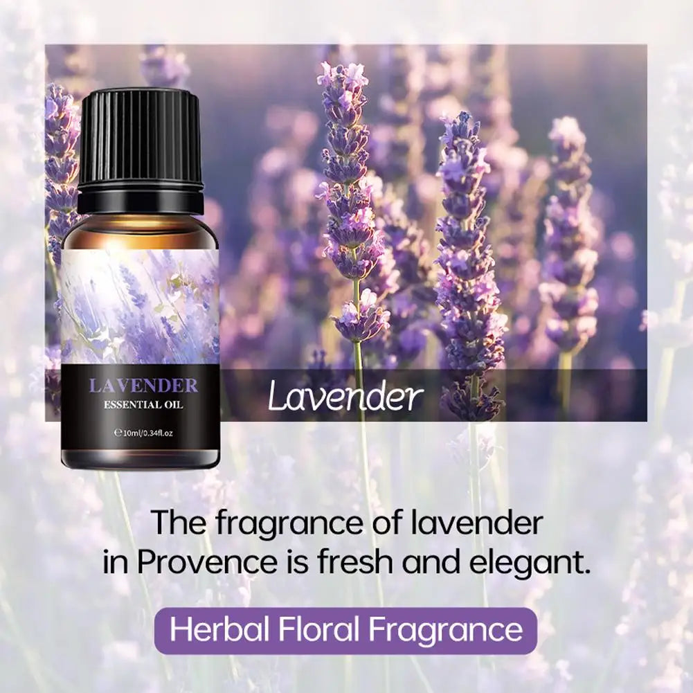 15 Scents Water Soluble Fragrance Oils - 10ml Aromatherapy Oil for Diffuser, Room Deodorizer, Air Freshener, Home & Car