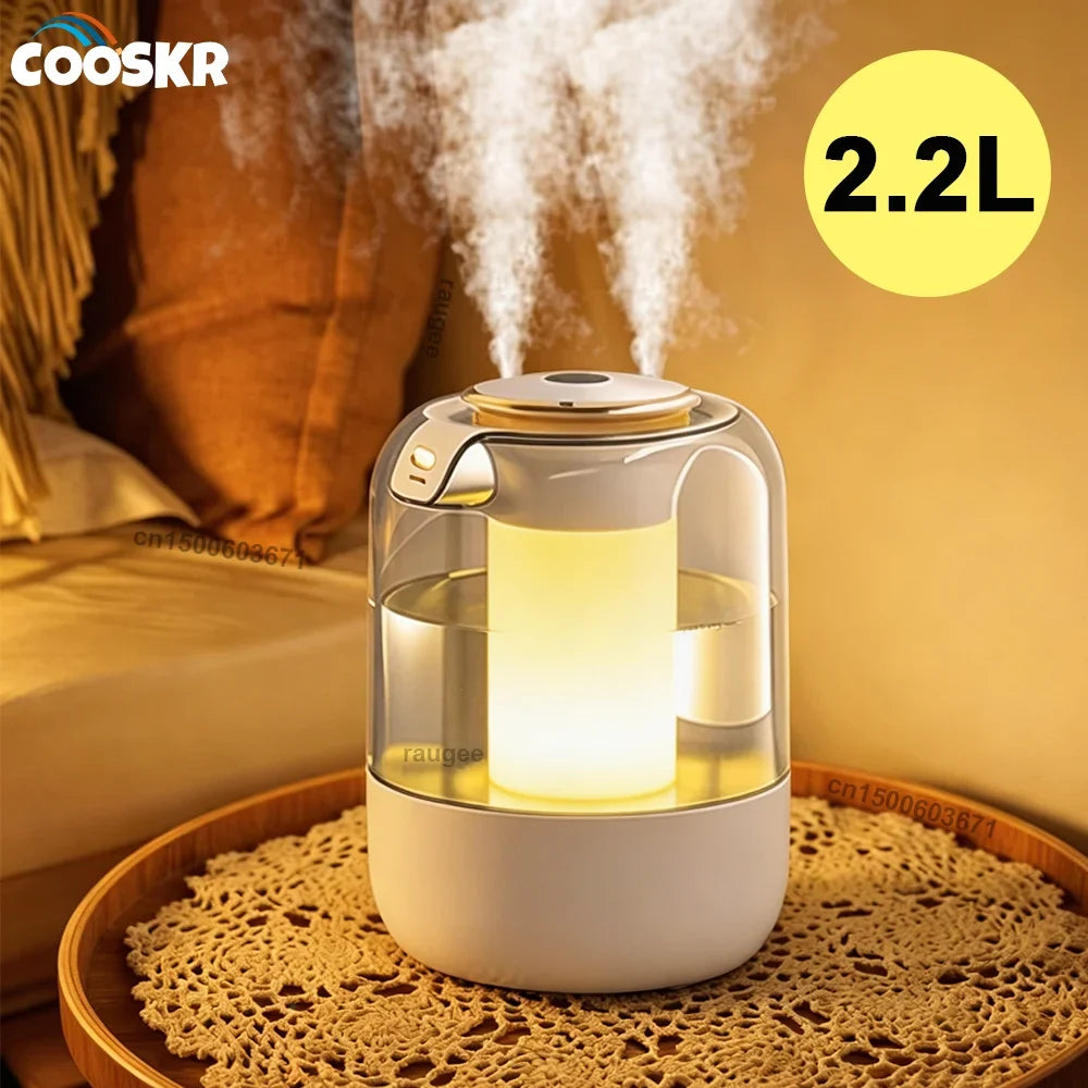 Air Humidifier Large Capacity Home Humidifier Mute Mist Maker Double Spray Usb Humidifier for Room Office with LED Night Light