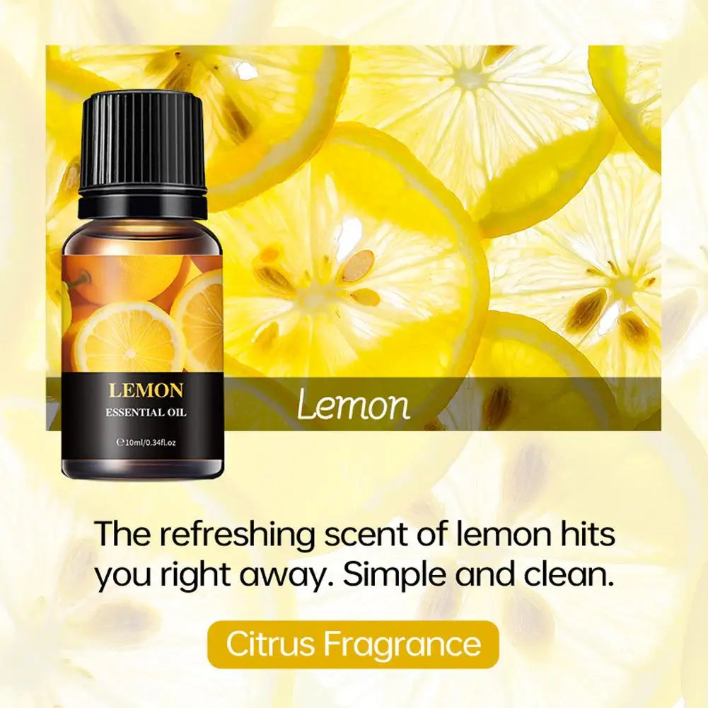 15 Scents Water Soluble Fragrance Oils - 10ml Aromatherapy Oil for Diffuser, Room Deodorizer, Air Freshener, Home & Car