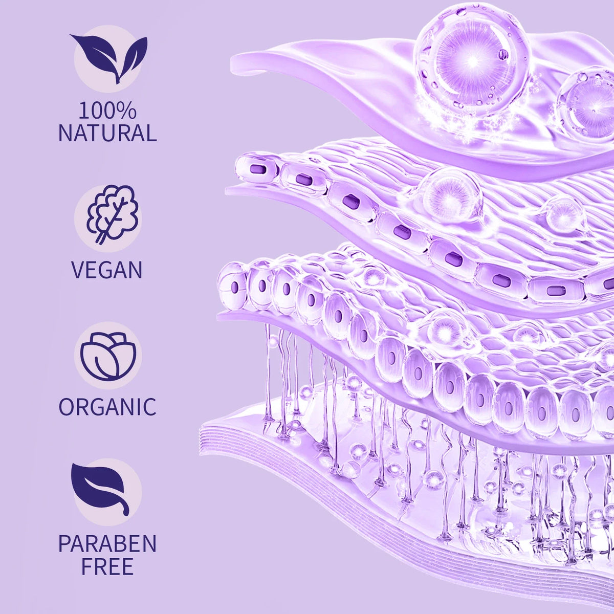 Bakuchiol Anti-Aging Face Oil 60ml - Natural Retinol Alternative with Lavender, Promotes Glowing, Youthful-Looking Skin.