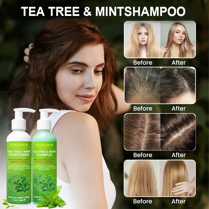 Amococo 2pcs X 200ml Tea Tree Shampoo and Conditioner Set with Mint Biotin Refreshing Scalp Care Hair Care Duo Volumizing Smooth Hair Formula for All Hair Types