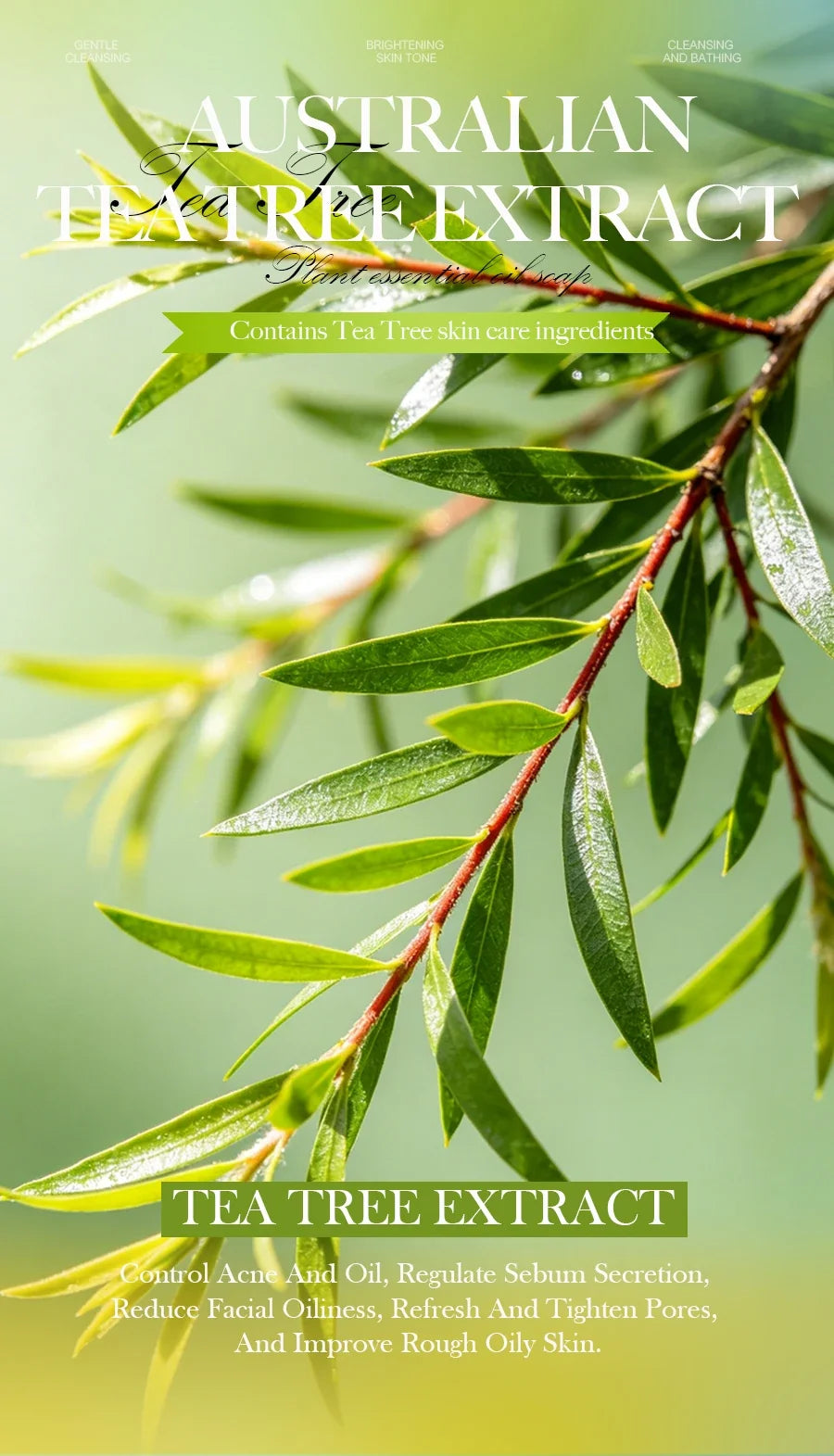 100g Tea Tree Essential Oil Soap Handmade Olive Oil Soap Plant Essential Oils Whitening Basic Cleaning Features Chemical Free