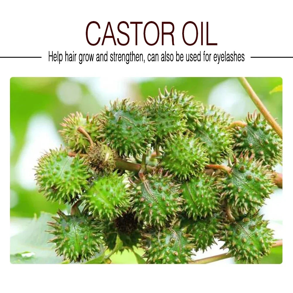 100% Pure And Castor Oil For  Eyelashes Hair Growth, And Eyebrows - Carrier Oil For Essential Oils, Aromatherapy And Massage