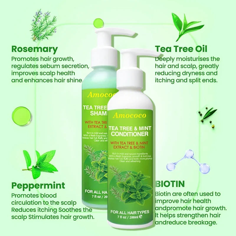 Amococo 2pcs X 200ml Tea Tree Shampoo and Conditioner Set with Mint Biotin Refreshing Scalp Care Hair Care Duo Volumizing Smooth Hair Formula for All Hair Types