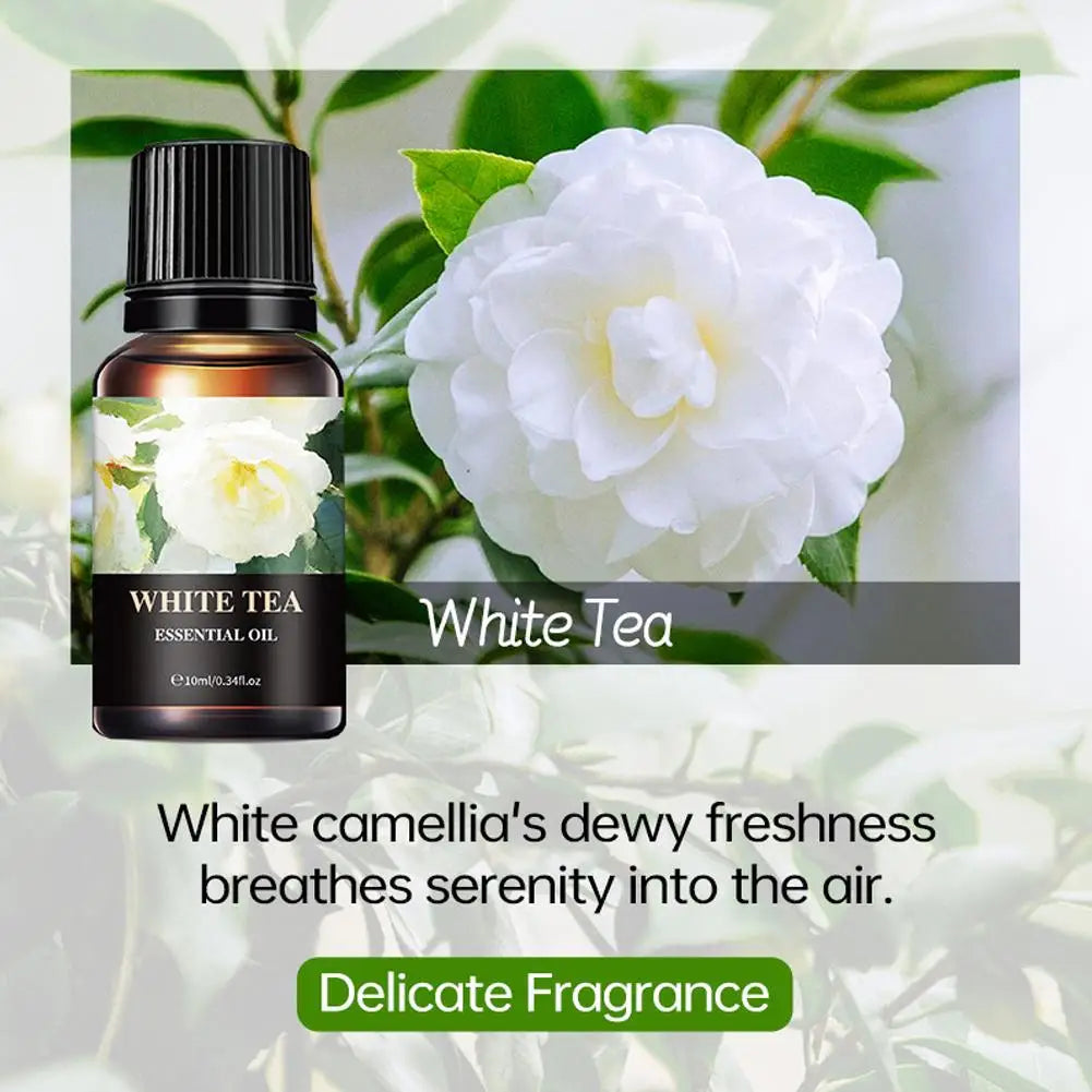 15 Scents Water Soluble Fragrance Oils - 10ml Aromatherapy Oil for Diffuser, Room Deodorizer, Air Freshener, Home & Car
