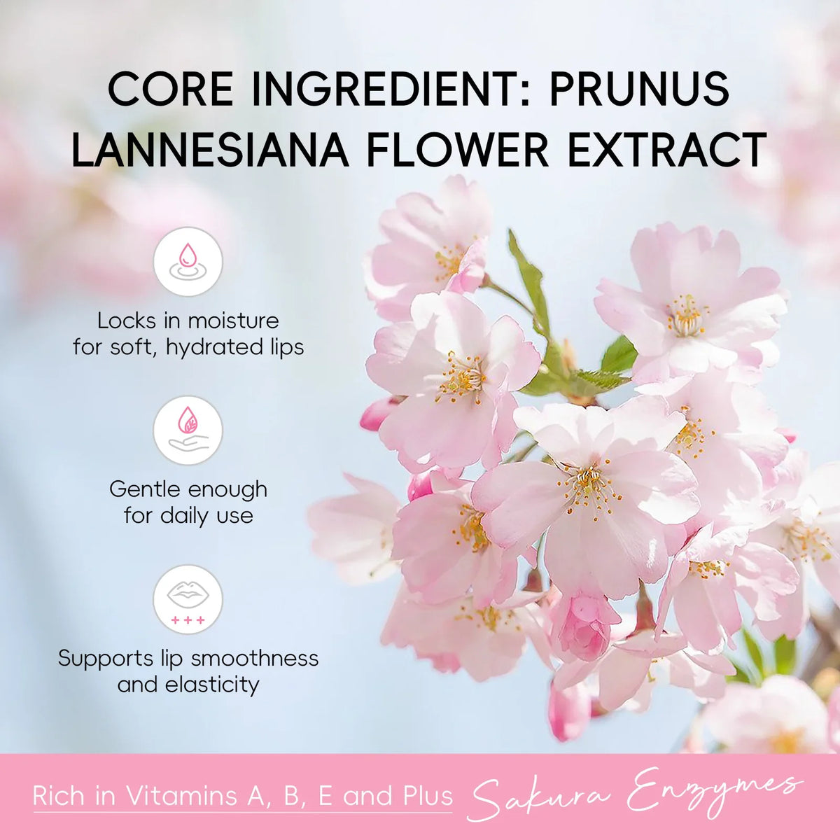 1/2/3pcs BIOAQUA Sakura Lipstick Cherry Blossom Moisturizing Lip Balm Nourishing Brightening Hydrating Lips Skin Care