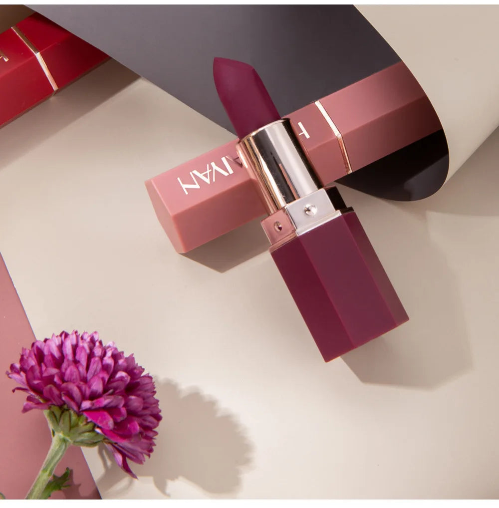Handaiyan 6 Colors Matte Waterproof Velvet Nude Lipstick Sexy Red Brown Pigments Makeup Long Lasting Lipstick Woman