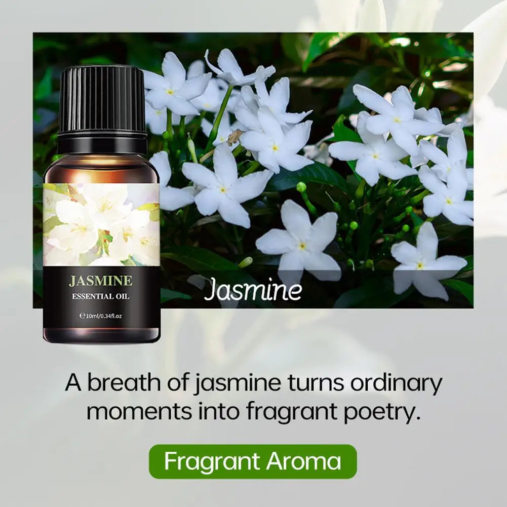 15 Scents Water Soluble Fragrance Oils - 10ml Aromatherapy Oil for Diffuser, Room Deodorizer, Air Freshener, Home & Car
