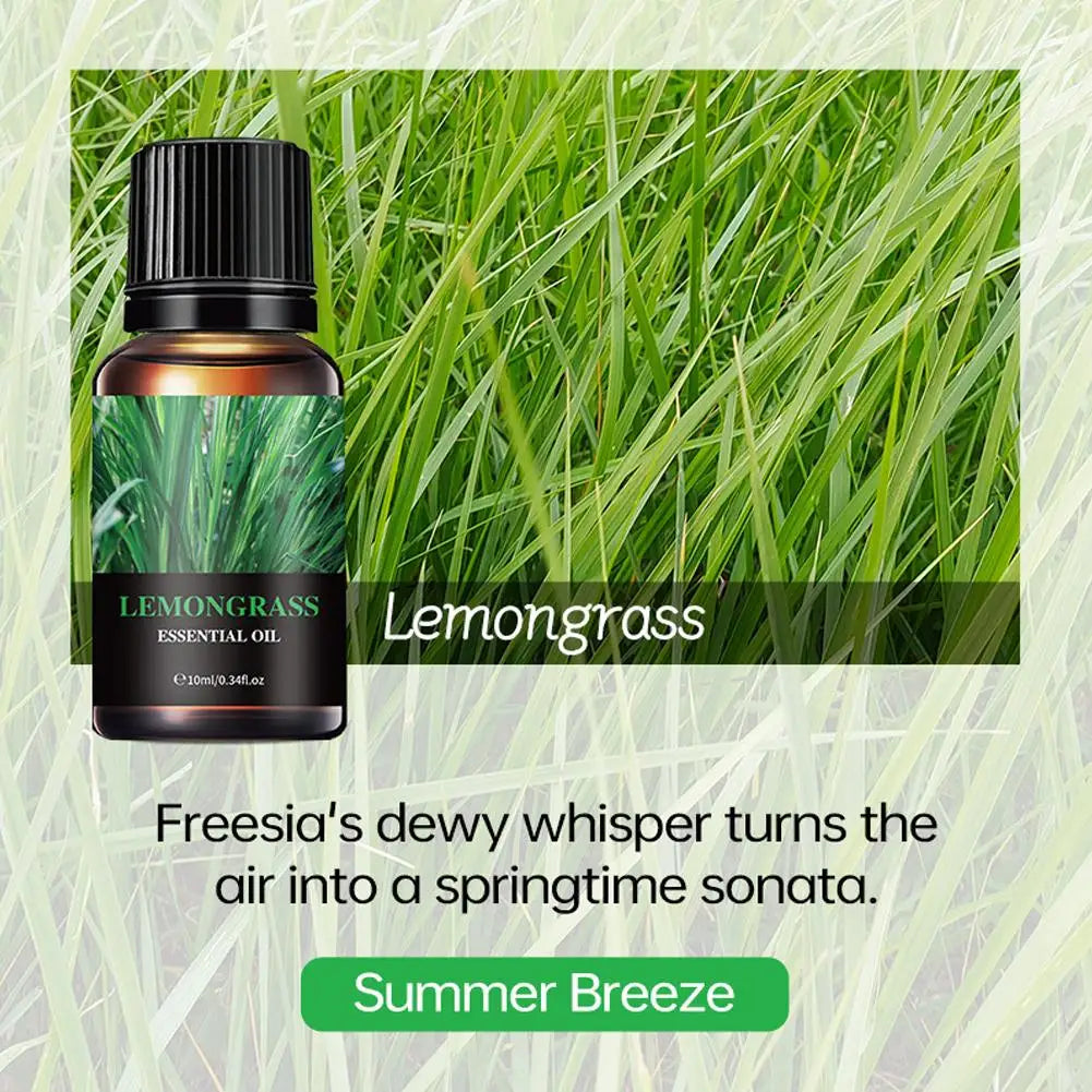 15 Scents Water Soluble Fragrance Oils - 10ml Aromatherapy Oil for Diffuser, Room Deodorizer, Air Freshener, Home & Car