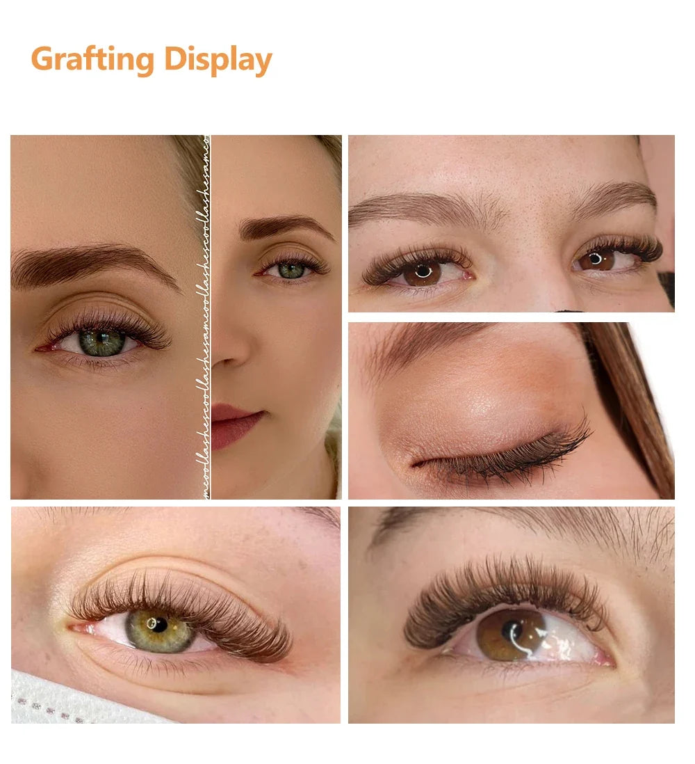 Abonnie L M Curl Brown Classic Individual Eyelashes Russian Volume Lashes