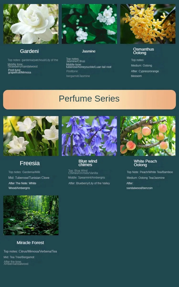 DIY House Fragrance Essential Oil 500ml Hilton Hotel Long-lasting Aromatherapy Deodorant For Living Room Bedroom Hotel Toilet