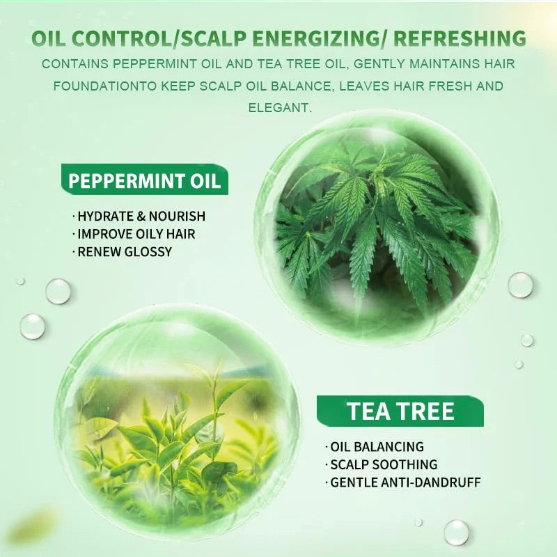Amococo 2pcs X 200ml Tea Tree Shampoo and Conditioner Set with Mint Biotin Refreshing Scalp Care Hair Care Duo Volumizing Smooth Hair Formula for All Hair Types