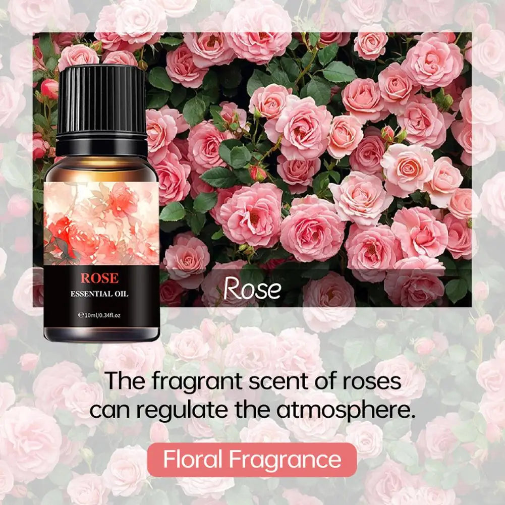 15 Scents Water Soluble Fragrance Oils - 10ml Aromatherapy Oil for Diffuser, Room Deodorizer, Air Freshener, Home & Car