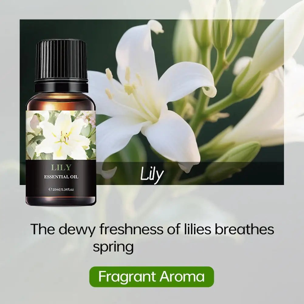 15 Scents Water Soluble Fragrance Oils - 10ml Aromatherapy Oil for Diffuser, Room Deodorizer, Air Freshener, Home & Car