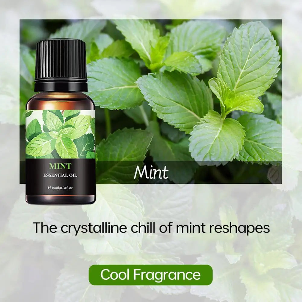 15 Scents Water Soluble Fragrance Oils - 10ml Aromatherapy Oil for Diffuser, Room Deodorizer, Air Freshener, Home & Car