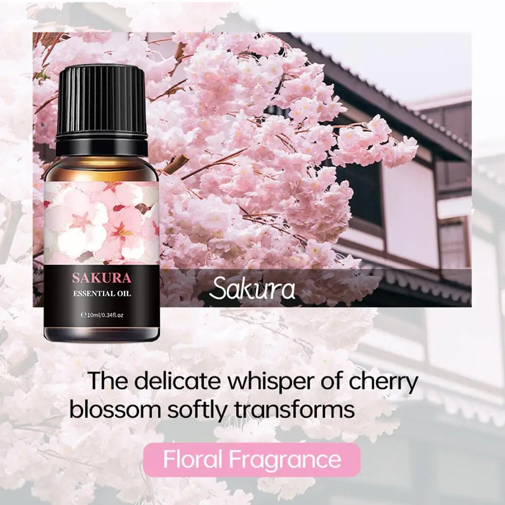 15 Scents Water Soluble Fragrance Oils - 10ml Aromatherapy Oil for Diffuser, Room Deodorizer, Air Freshener, Home & Car
