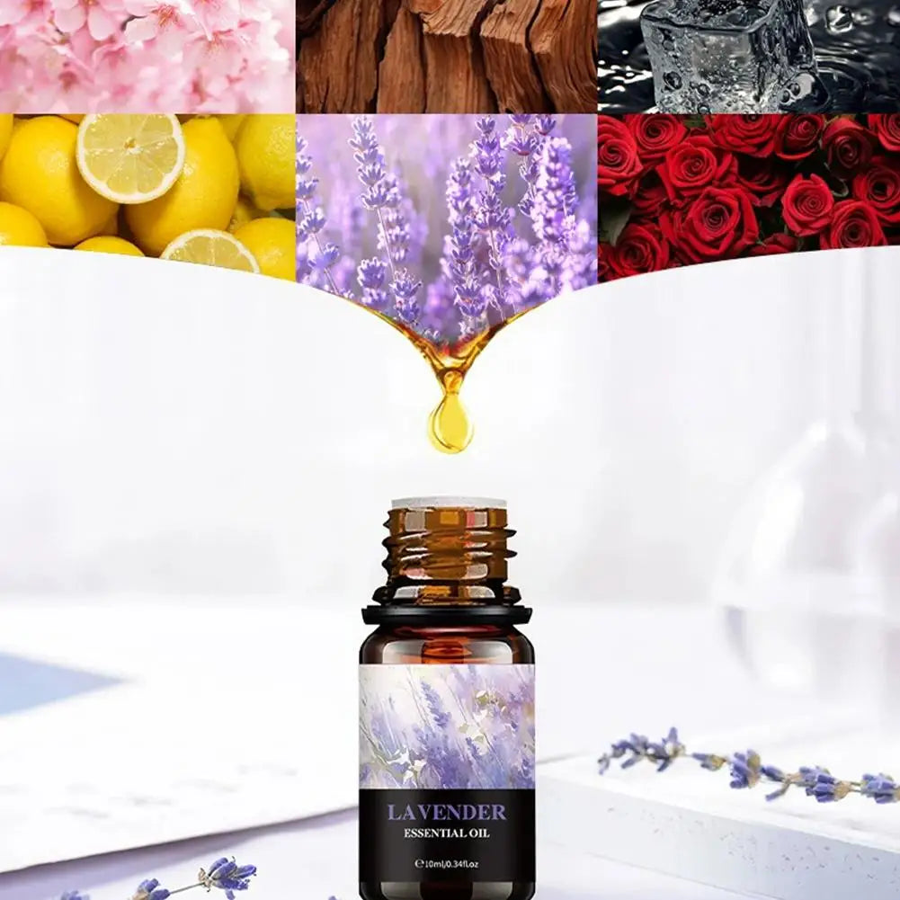 15 Scents Water Soluble Fragrance Oils - 10ml Aromatherapy Oil for Diffuser, Room Deodorizer, Air Freshener, Home & Car