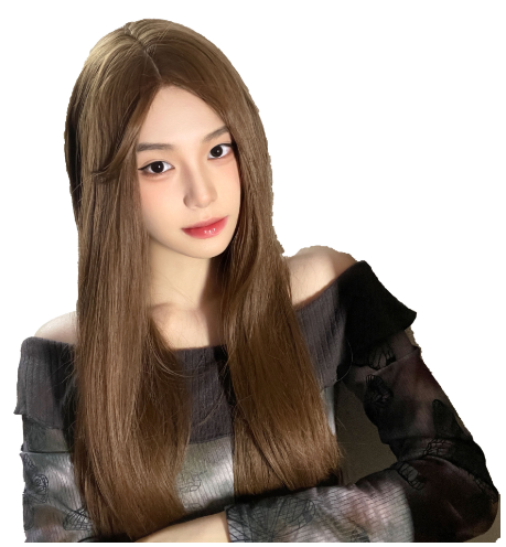 Human Hair Wig - Hair Essence, Long Straight Lace Wig (One)